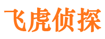 琅琊市调查公司